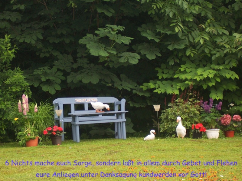 Datei:Bibelstelle.jpg