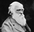 ChartesRobert Darwin.jpg