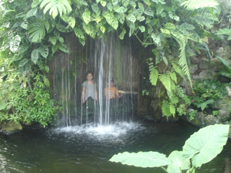 Datei:DSC09031.JPG