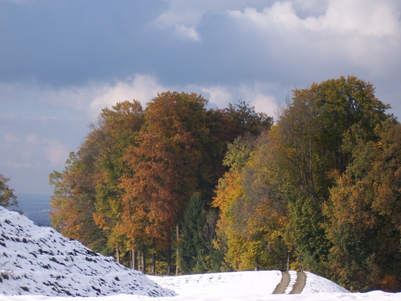 Datei:Herbst.JPG
