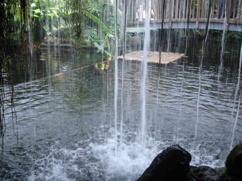 Datei:Wasserfall2.JPG